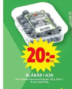 BLÅBÄR I ASK