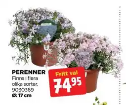 Jem&Fix PERENNER erbjuda