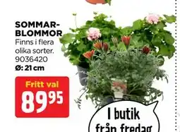 Jem&Fix SOMMARBLOMMOR erbjuda