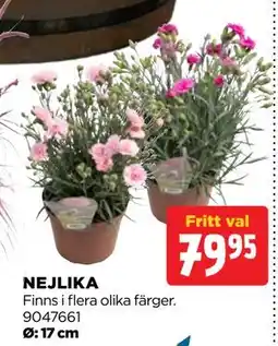Jem&Fix NEJLIKA erbjuda