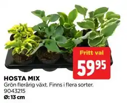 Jem&Fix HOSTA MIX erbjuda
