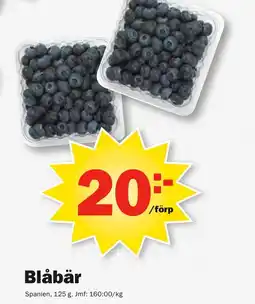 Pekås Blåbär erbjuda