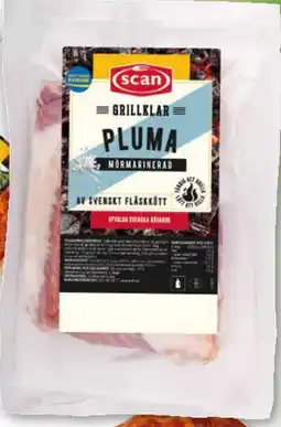 Mörad pluma