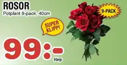 Nya Pulsen Rosor erbjuda