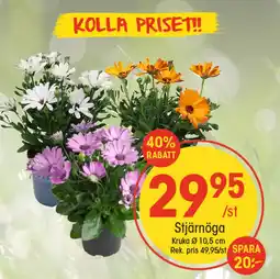 EKO Stjärnöga erbjuda
