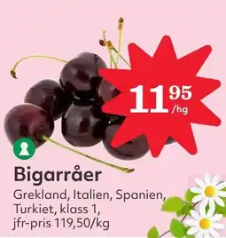 Östenssons Bigarråer erbjuda