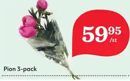Östenssons Pion 3-pack erbjuda