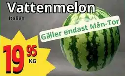 Supergrossen Vattenmelon erbjuda