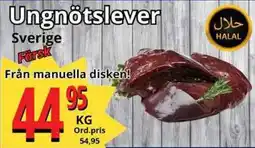 Supergrossen Ungnötslever erbjuda