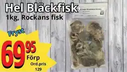 Supergrossen Hel Bläckfisk erbjuda