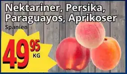 Supergrossen Nektariner, Persika, Paraguayos, Aprikoser erbjuda