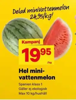 City Gross Hel mini- vattenmelon erbjuda