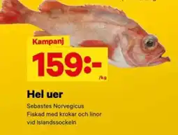 City Gross Hel uer erbjuda