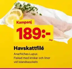 City Gross Havskattfilé erbjuda