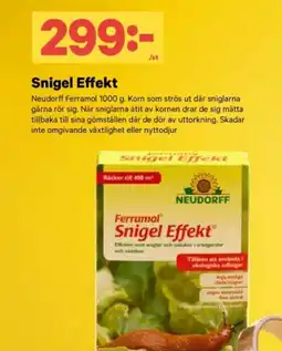 City Gross NEUDORFF Snigel effekt erbjuda