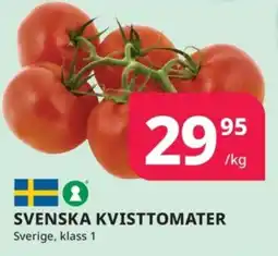 Tempo Svenska kvisttomater erbjuda