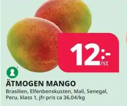 Tempo Ätmogen mango erbjuda