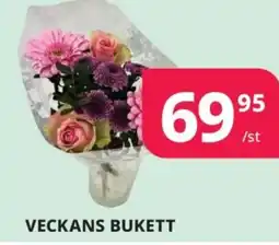 Tempo Veckans bukett erbjuda