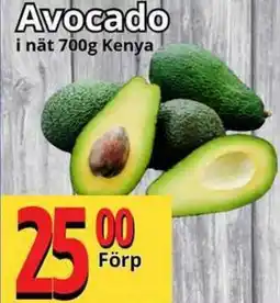 Supergrossen Avocado erbjuda