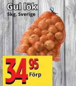 Supergrossen Gul lök erbjuda