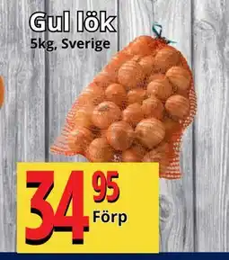 Supergrossen Gul lök erbjuda