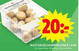 ICA Maxi ICA Kastanjechampinjoner i ask erbjuda