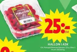 ICA Maxi ICA Hallon i ask erbjuda