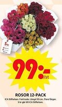 ICA Maxi Rosor erbjuda