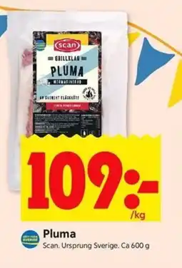 ICA Kvantum SCAN Pluma erbjuda