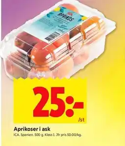 ICA Kvantum ICA Aprikoser i ask erbjuda