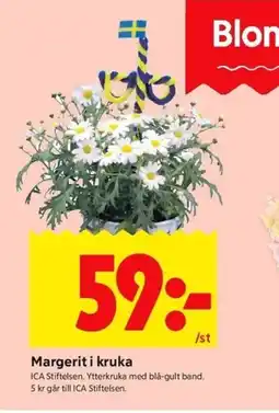 ICA Kvantum ICA Margerit i kruka erbjuda