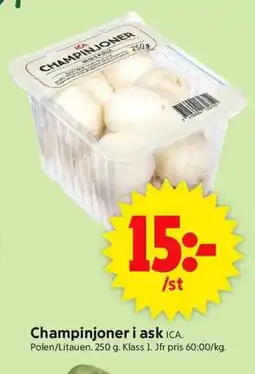 ICA Supermarket Champinjoner i ask ICA. erbjuda