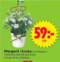 ICA Supermarket ICA Margerit i kruka erbjuda