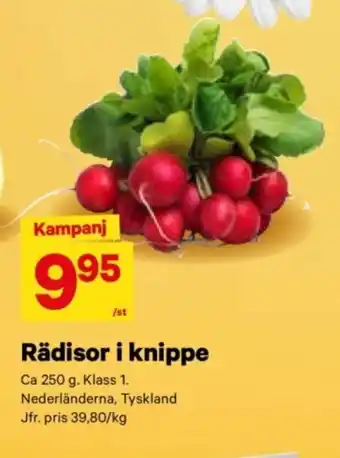 City Gross Rädisor i knippe erbjuda