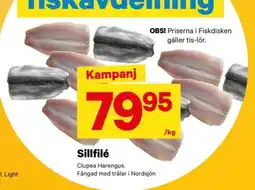 City Gross Sillfilé erbjuda