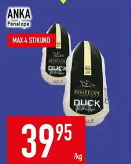 Matdax PENELOPE Anka erbjuda