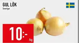 Matdax Gul lök erbjuda