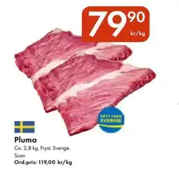 Snabbgross Pluma erbjuda