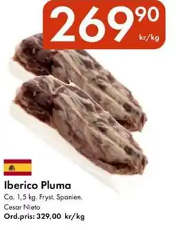 Snabbgross Iberico pluma erbjuda