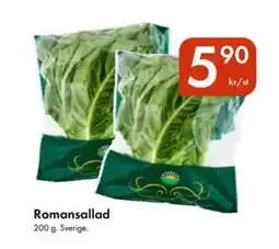 Snabbgross Romansallad erbjuda
