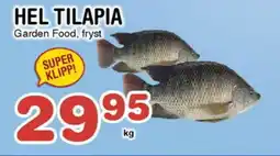 Nya Pulsen Hel tilapia erbjuda