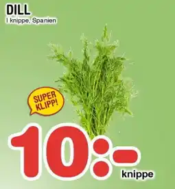 Nya Pulsen Dill erbjuda