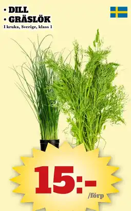 Bonum Matmarknad Dill, gräslök erbjuda