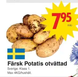 Matöppet Färsk Potatis otvättad erbjuda