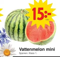 Matöppet Vattenmelon mini erbjuda