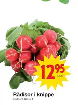 Matöppet Rädisor i knippe erbjuda