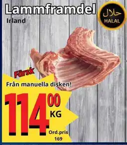 Supergrossen Lammframdel erbjuda