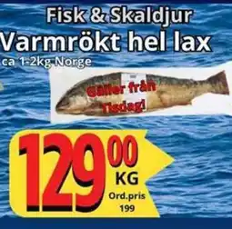 Supergrossen Varmrökt hel lax erbjuda