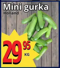 Supergrossen Mini gurka erbjuda