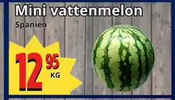 Supergrossen Mini vattenmelon erbjuda